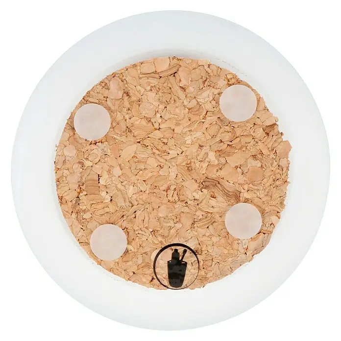 Venus Ivo Zahnputzbecher - Polyresin, Weiß