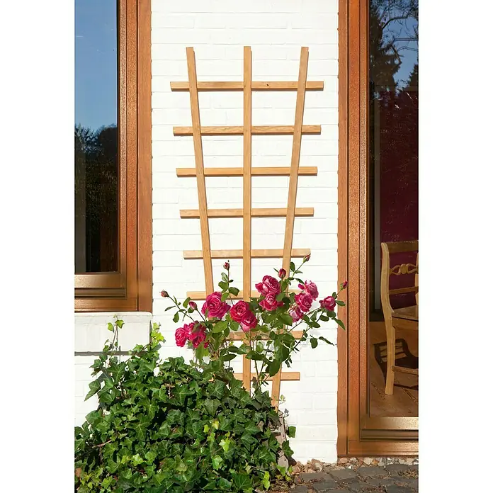 Kiehnholz Rankgitter Aspe - Hellbraun, Höhe: 150 cm