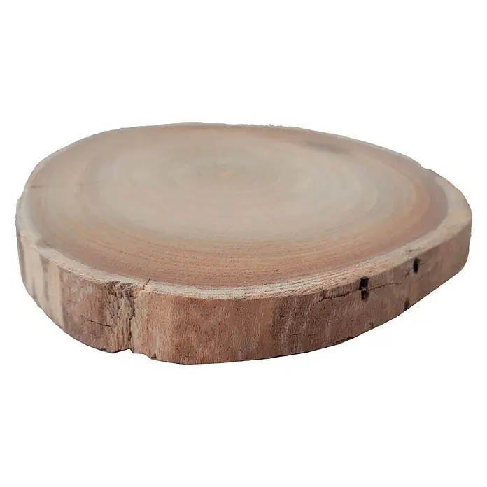 Disco de tronco de madera Mini - Castaño, Sin tratar, Diámetro: 8 cm - 12 cm