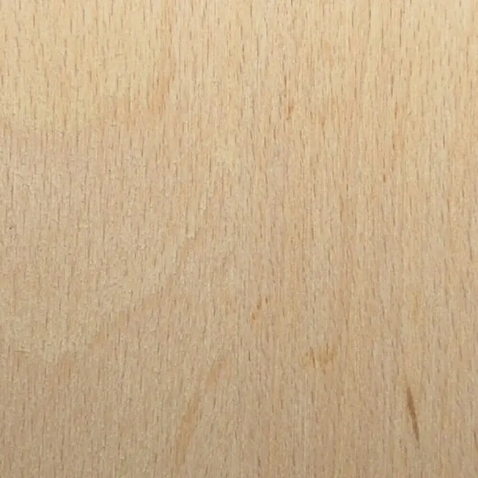 Sperrholzplatte Fixmaß - Buche, 1.200 x 600 x 10 mm - Ansicht von oben