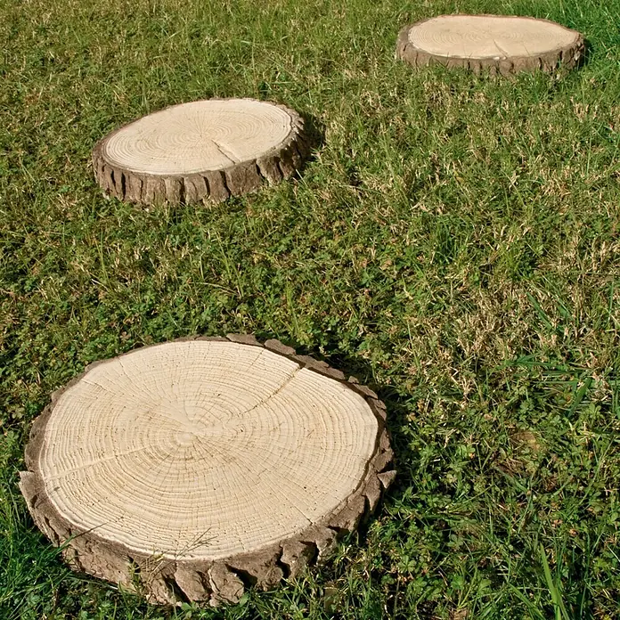 Placas para caminos Corteza - 40 x 36 x 5,5 cm, Beige/Marrón, Hormigón