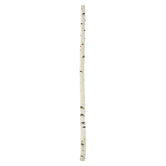 Exclusivholz Birkenstamm - 3 m, Durchmesser: 5 cm - 10 cm, Unbehandelt - Vorderansicht