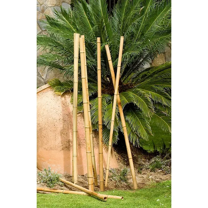 Nortene Tubo de bambú Deco - Largo: 180 cm, Diámetro: 35 mm - 40 mm