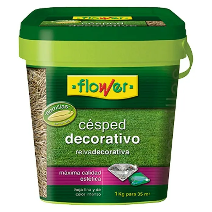 Flower Semillas de césped decorativo Cubo - 1 kg, 35 m²