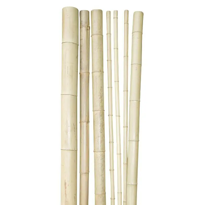 Windhager Bambusrohr - Länge: 200 cm, Durchmesser: 5 cm