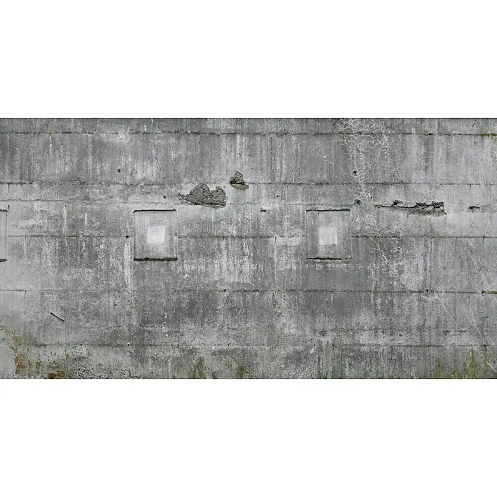 Rasch Fototapete Betonoptik - B x H: 300 x 558 cm, Vlies