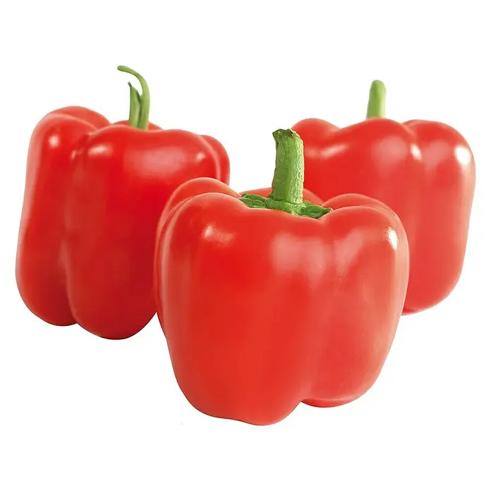 Blu Bio Paprika Midired - Capsicum anuum 'Midired', 12 cm - Stimmungsaufnahme