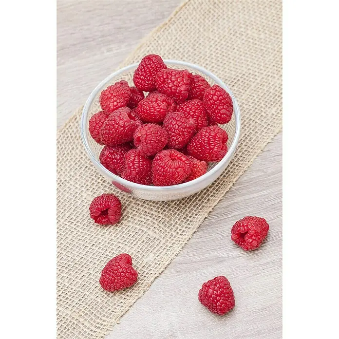 Piardino Himbeere Tulameen - Rubus ideaus 'Tulameen', Erntezeit: Juli - September - Detailaufnahme