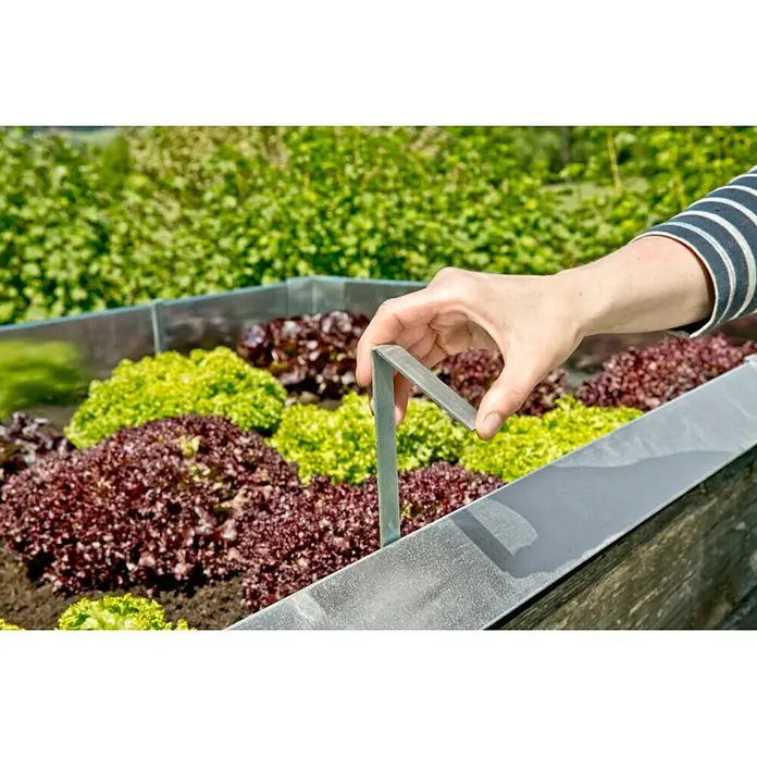 Windhager Schneckenblech Befestigungsklammer - Stahl, Höhe: 45 cm