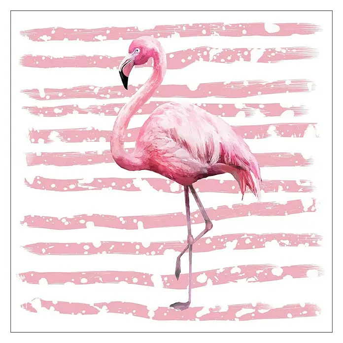 ProArt Slika na platnu Flamingo - Š x V: 50 x 50 cm - Pogled sprijeda