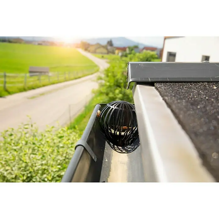 Windhager Fallrohrfilter Cage - Durchmesser: 14,5 cm, Schwarz
