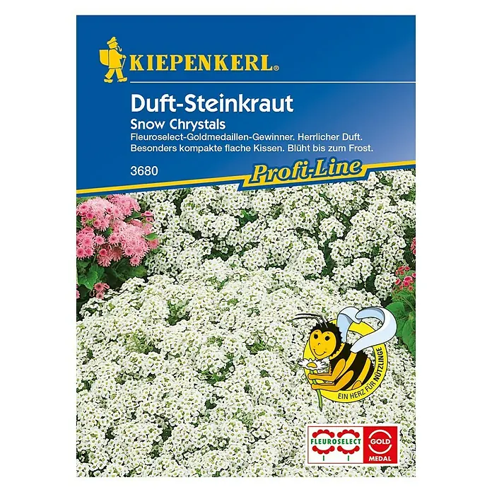 Kiepenkerl Profi-Line Blumensamen Steinkraut Snow Crystals - Lobularia maritima, Weiß - Vorderansicht