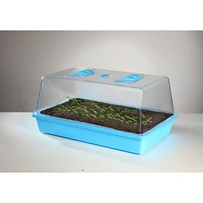 Floraworld Sobni staklenik Classic - 38 x 24 x 12,5 cm, Svijetloplave boje - Proizvod u upotrebi