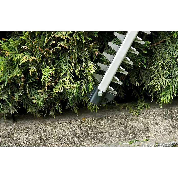 Einhell Power X-Change Akku-Heckenschere GE-CH 1855/1 Li-Solo - 18 V, Ohne Akku, Schnittlänge: 55 cm - Anwendungsbeispiel