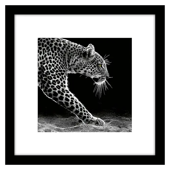 Cuadro Jaguar - Animal, An x Al: 30 x 30 cm
