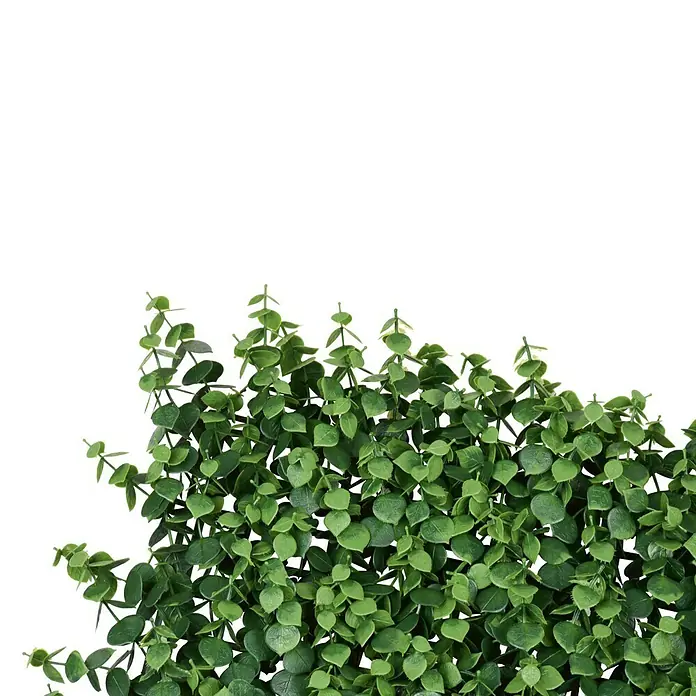 Jardín vertical Irolia - Plástico, L x An: 50 x 50 cm, Decoración