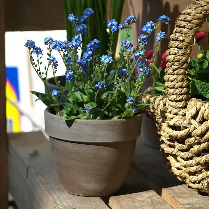 Pflanztopf Levante - Außenmaß (Ø x H): 35 x 29 cm, Naturmaterialien, Basalt - Stimmungsaufnahme