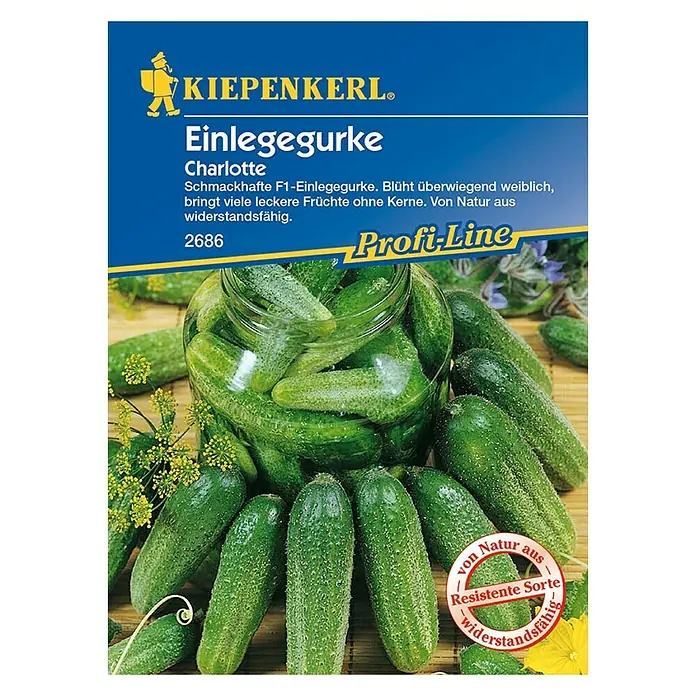 Kiepenkerl Profi-Line Gemüsesamen Einlegegurke Charlotte - Cucumis sativus, Erntezeit: Juli - Vorderansicht