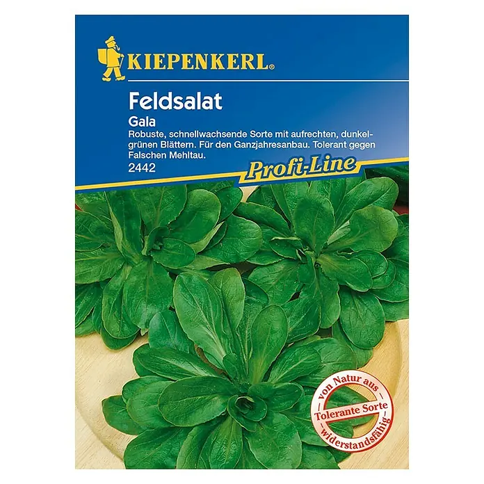 Kiepenkerl Profi-Line Salatsamen Vogerlsalat Gala - Valerianella locusta, Erntezeit: Ganzjährig - Vorderansicht