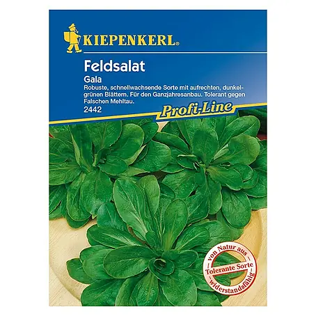 Kiepenkerl Profi-Line Salatsamen Vogerlsalat Gala