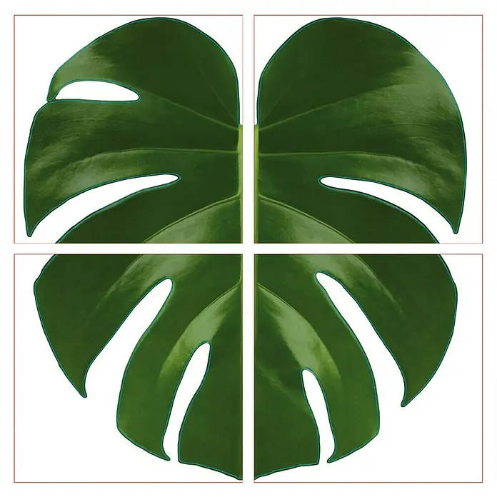Fliesensticker - Palme, 15 x 15 cm, 4 -tlg. - Ansicht von oben