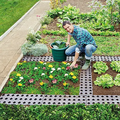 Garantia  Beetplatte Maxi