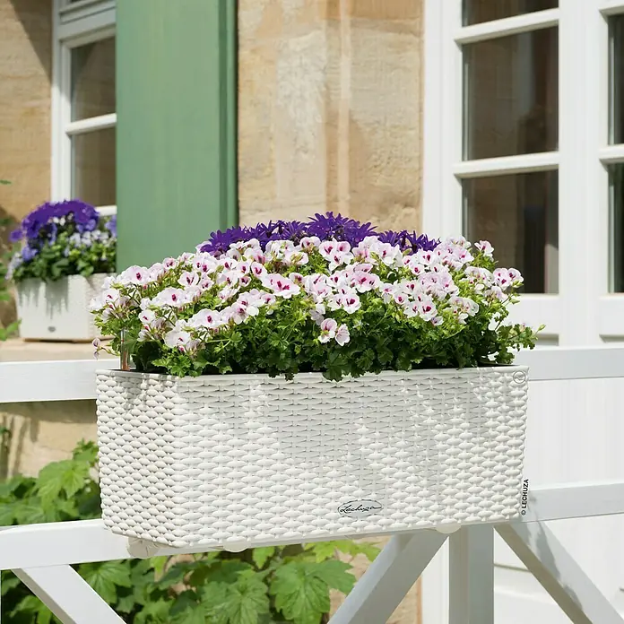 Lechuza Cottage Balkonkasten Balconera - Max. Außenlänge: 50 cm, Weiß - Stimmungsaufnahme