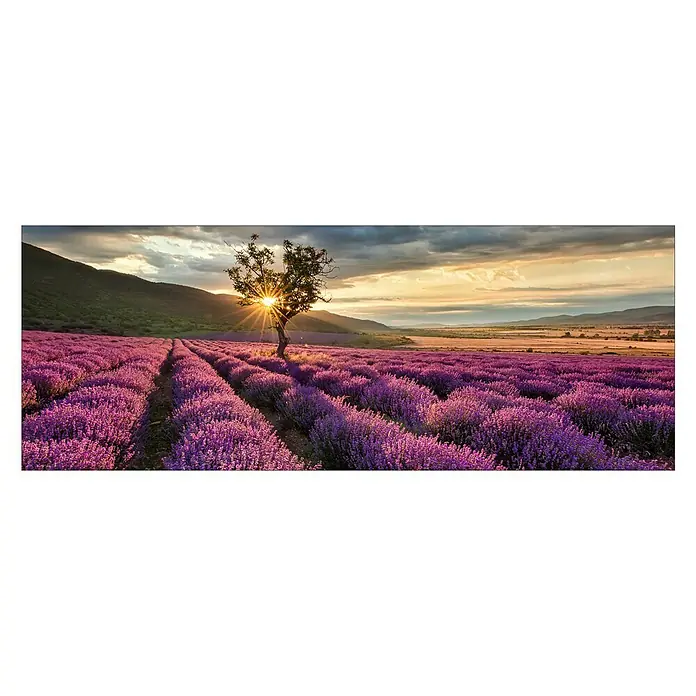 ProArt Glasbild - Silence, B x H: 80 x 30 cm - Vorderansicht