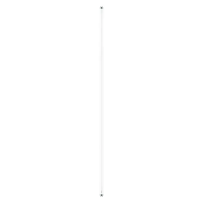 Philips Tubo LED T8 - 20 W, Color de luz: Blanco frío, Largo: 151,42 cm