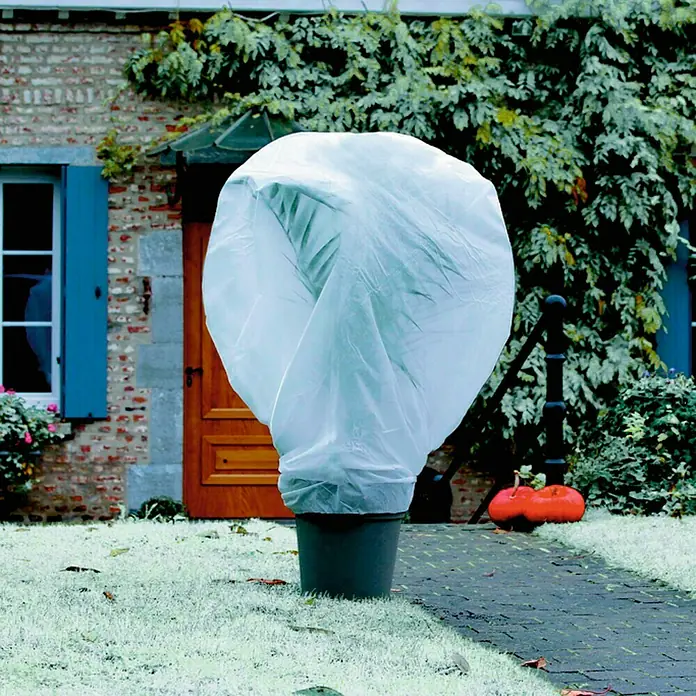 Nortene Protector invernal de plantas Velo Wintertex - Ø x Al: 2 x 10 m - Foto ambiente