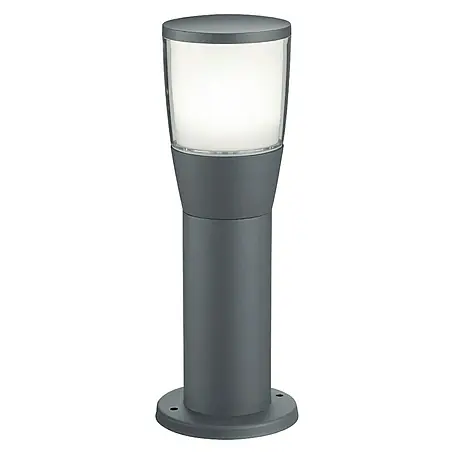 Trio Lighting  Sobremuro LED Shannon