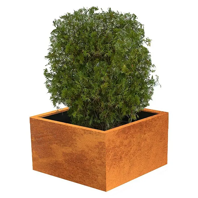 Palatino Exlusive Line Pflanzkübel eckig Clara - 100 x 100 x 50 cm, Cortenstahl, Rotbraun - Linke Seitenansicht