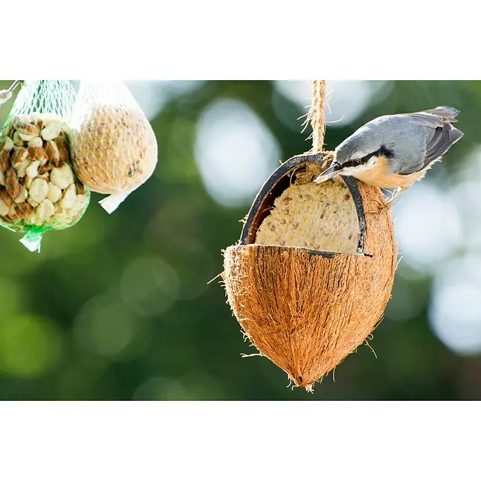 Dobar Wildvogelfutter - 23 Stk. - Stimmungsaufnahme