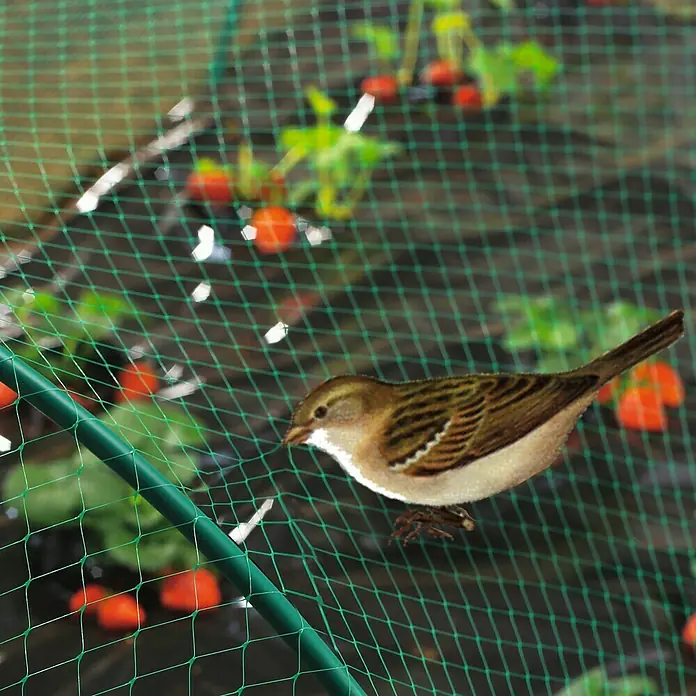 Nortene Red de protección contra pájaros Birdnet - L x An: 10 x 2 m