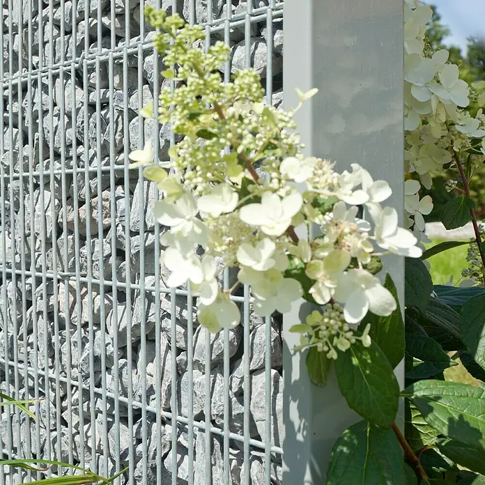 Kraus Gabionenmatte - 120,5 x 89,1 cm, Metall, Verzinkt