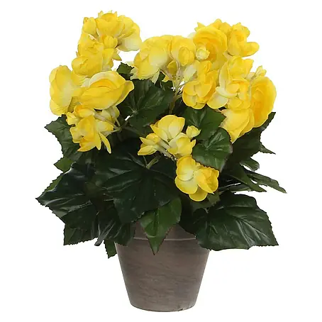 Planta artificial Begonia
