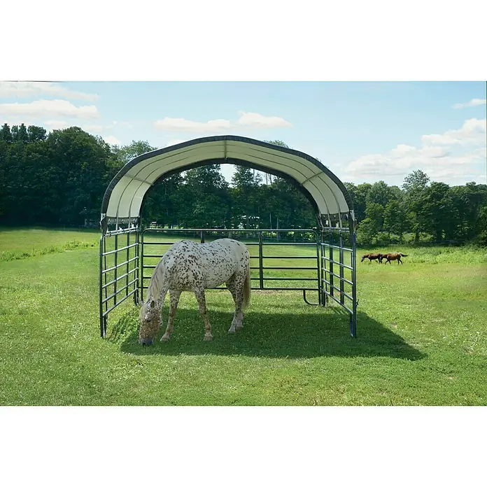 ShelterLogic Weidezelt - 370 x 370 x 160 cm, Stahl - Vorderansicht