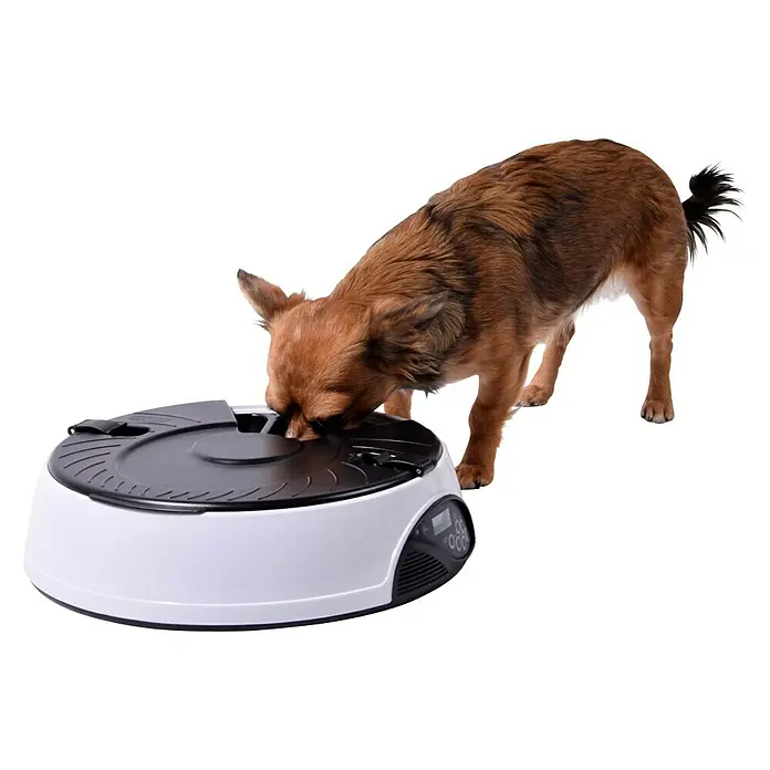 Dobar Futterspender - 31,5 x 31,5 x 9,5 cm, Geeignet für: Hunde & Katzen - Stimmungsaufnahme