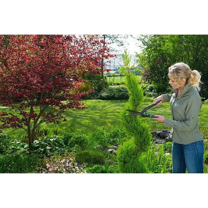 Gardena Ručne škare za živicu PrecisionCut - Duljina oštrice: 23 cm - Proizvod u upotrebi