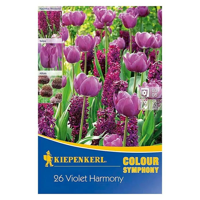 Kiepenkerl Frühlingsblumenzwiebel-Mix - Arten-mischung, 26 Stk. - Vorderansicht
