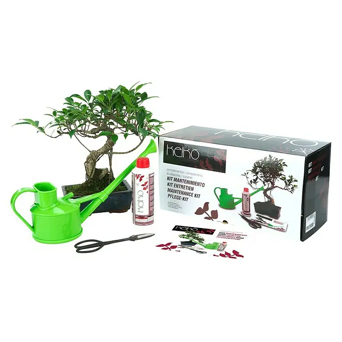Set de mantenimiento Keiko - 4 uds., Verde, Negro antiguo
