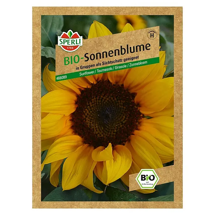 Sperli Blumensamen Sonnenblume - Bio, Helianthus annuus, Blütezeit: August