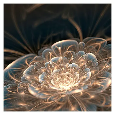 Cuadro de vidrio Flor de luz