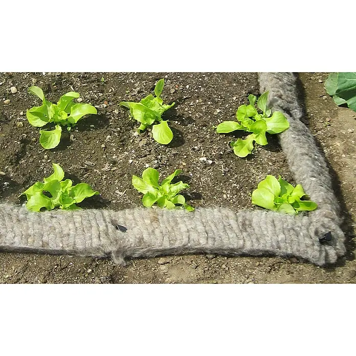 Windhager Schnecken-Stopp Schafwoll-Schneckenbremse - L x B: 500 x 10 cm