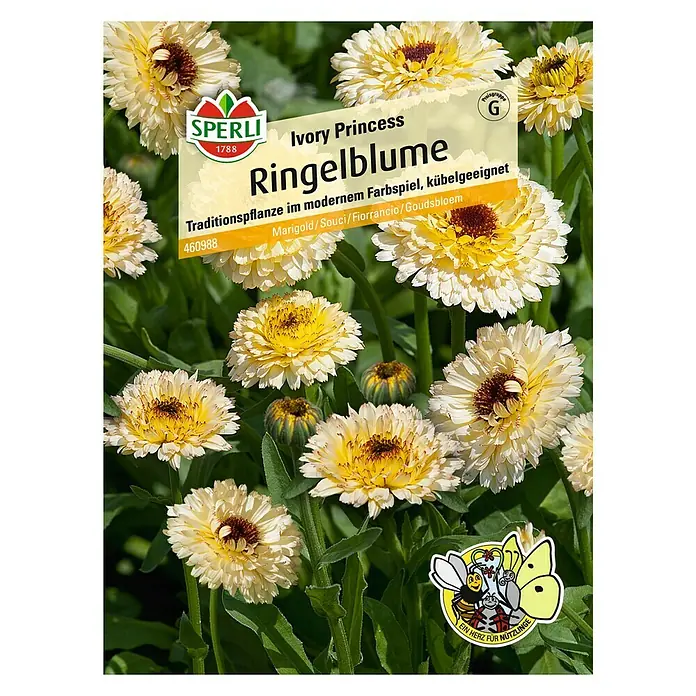Sperli Blumensamen Ringelblume - Ivory Princess, Calendula officinalis 'Ivory Princess', Gelb - Vorderansicht