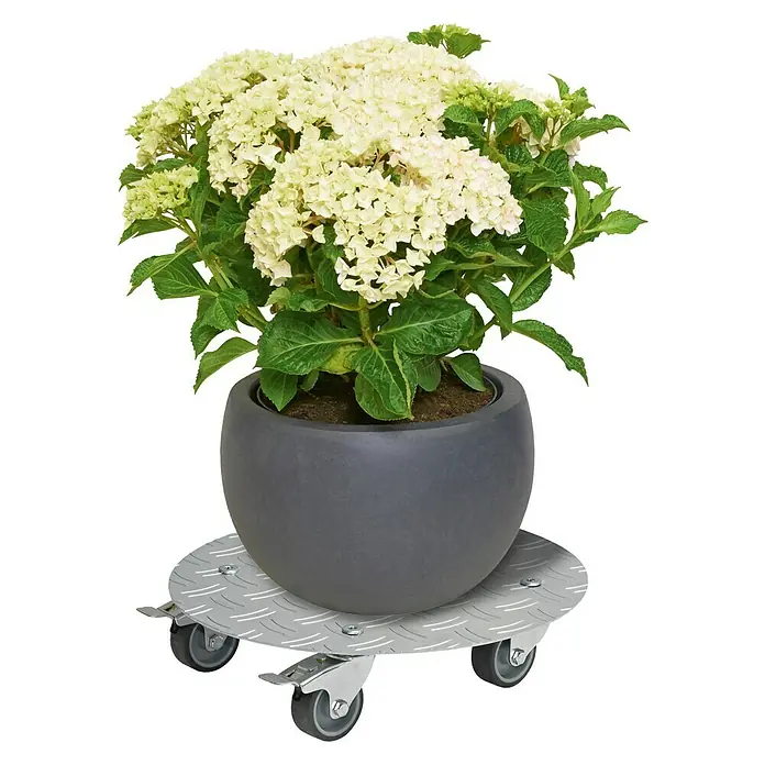 Gardol Soporte con ruedas para plantas Arktis - 30 cm, Cromo, Carga máx.: 150 kg