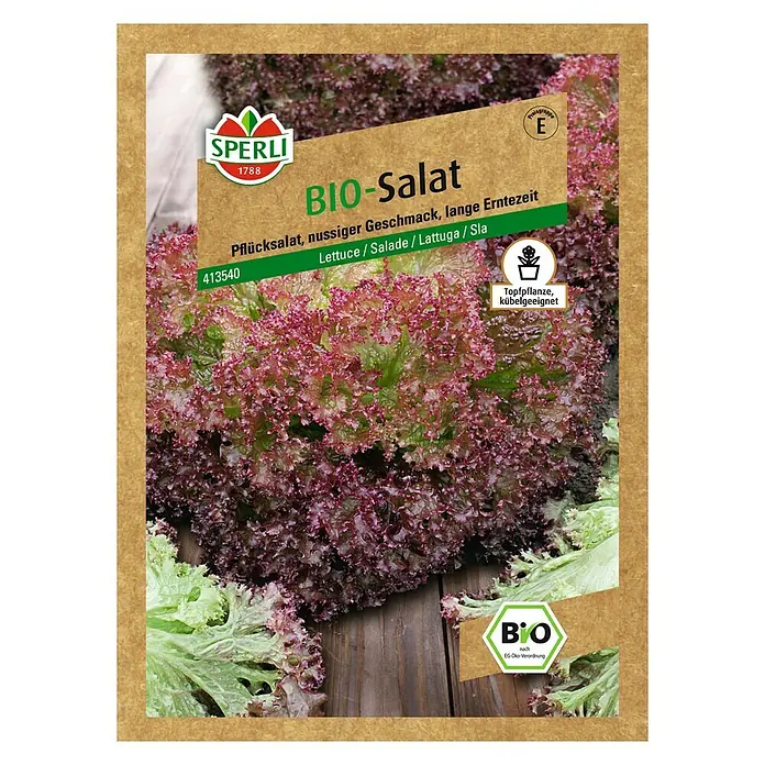 Sperli Salatsamen Bio Pflücksalat Rot - Lactuca sativa, Erntezeit: Mai