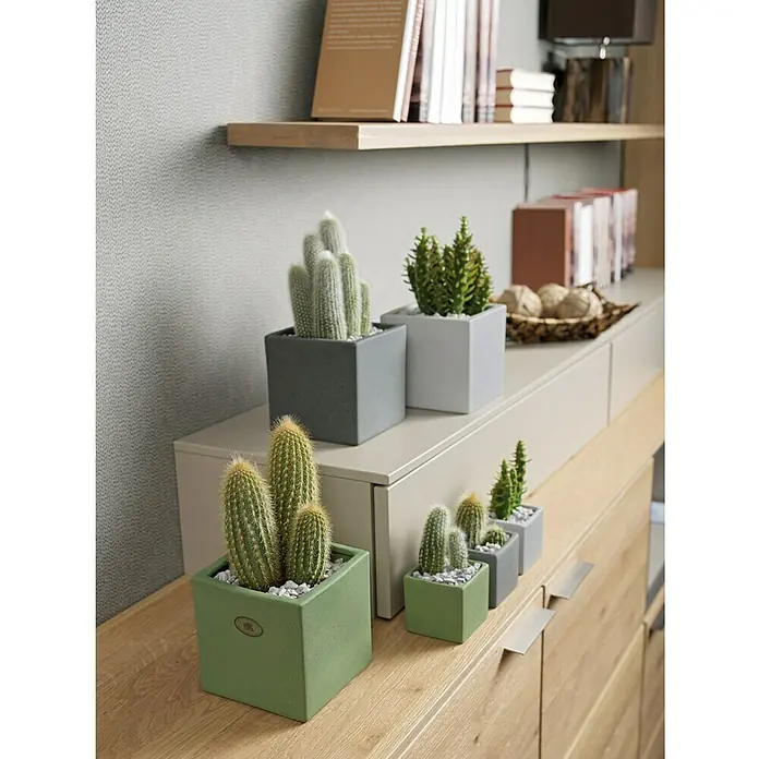 SK Übertopf eckig Latina Nature - Außenmaß (L x B x H): 8 x 8 x 7 cm, Keramik, Dunkelgrau, Steinoptik - Stimmungsaufnahme