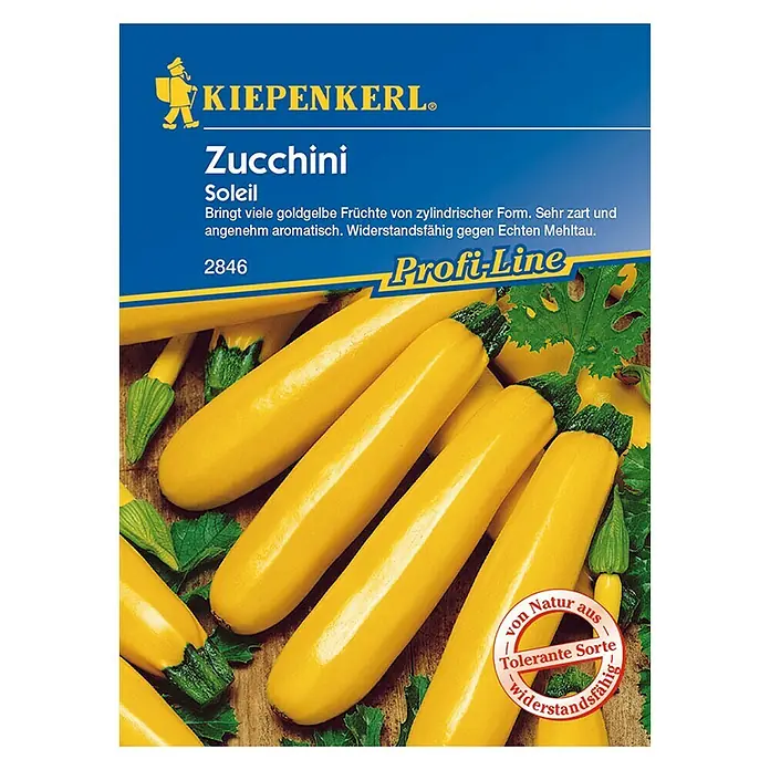 Kiepenkerl Profi-Line Gemüsesamen Zucchini Soleil - Cucurbita pepo, Erntezeit: Juli - Vorderansicht