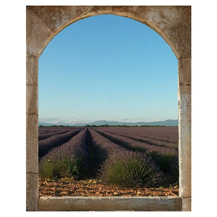 Vinilo forma ventana - Lavanda, 75 x 60 cm - Vista frontal